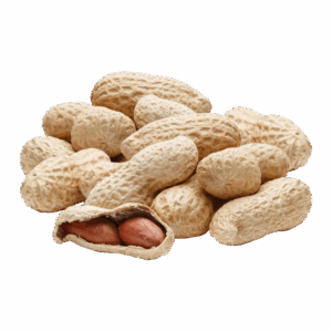 Peanut with Shell Husk