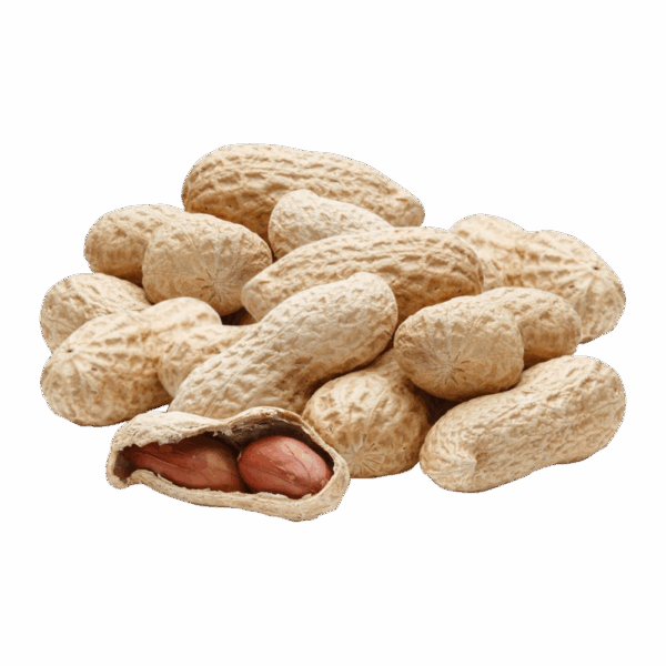 Peanut with Shell Husk