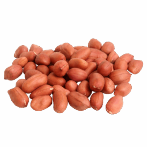 Peanut with Red Shell