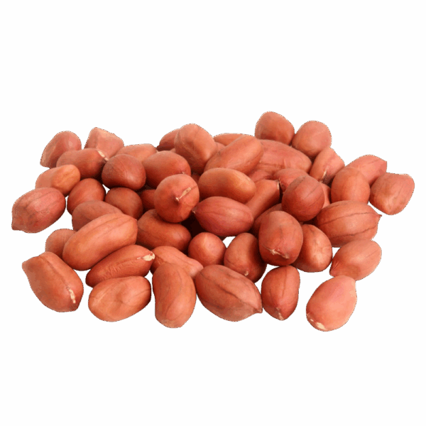 Peanut with Red Shell